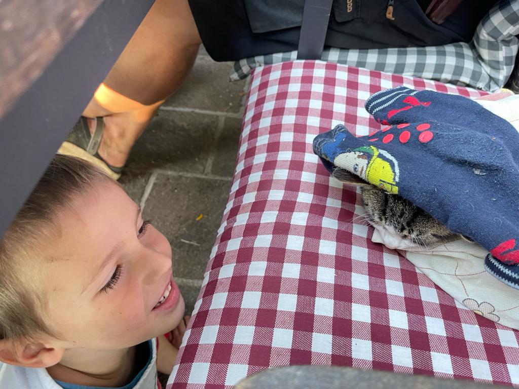 Ein Kind lacht eine Kätzchen an, das er unter einem Kleidungsstück eingepackt hat